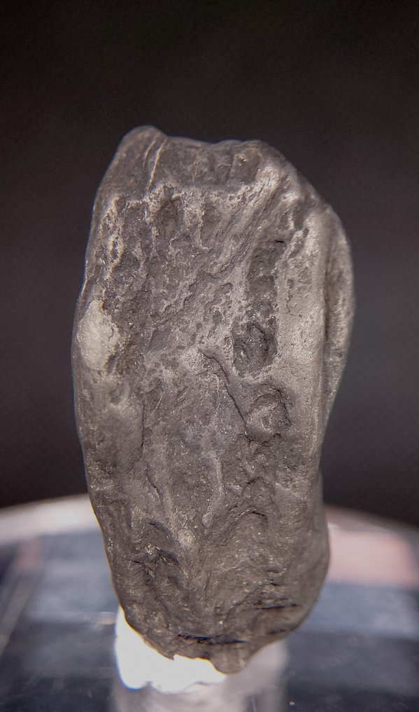 Platinum Nugget - Height: 29 mm - Width: 12 mm- 10 g #1.0