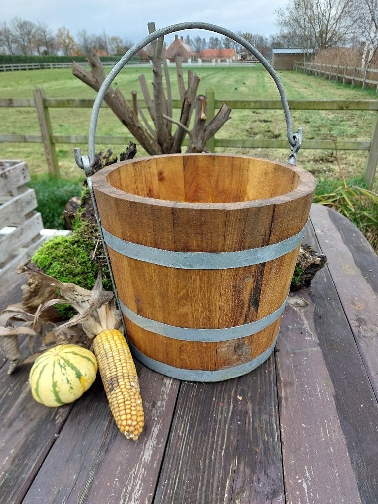 Nyugat-ázsiai Fa nehéz fa vödör - 50 cm  (Nincs minimálár) #1.0