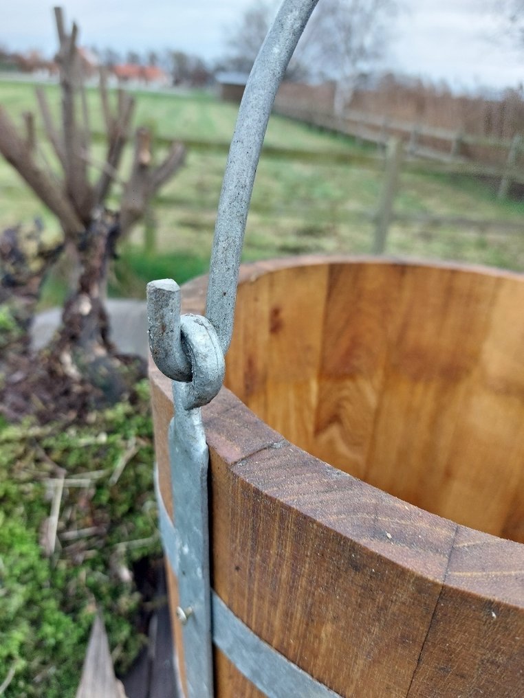 Nyugat-ázsiai Fa nehéz fa vödör - 50 cm  (Nincs minimálár) #4.3