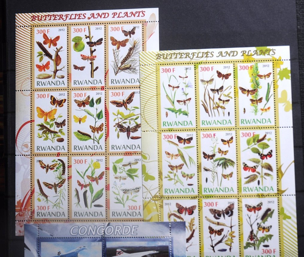 卢旺达  - 2005年至2012年之间的全新未使用邮票块和小型张收藏，放在存储册中。 #1.0