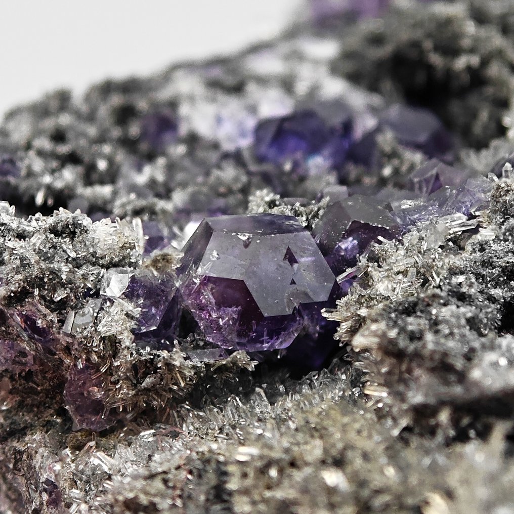 Fluorite, tanzanite, blue/violet, cuboctahedra on quartz, elegant. Crystals on matrix - Height: 104 mm - Width: 92 mm- 472 g #3.2