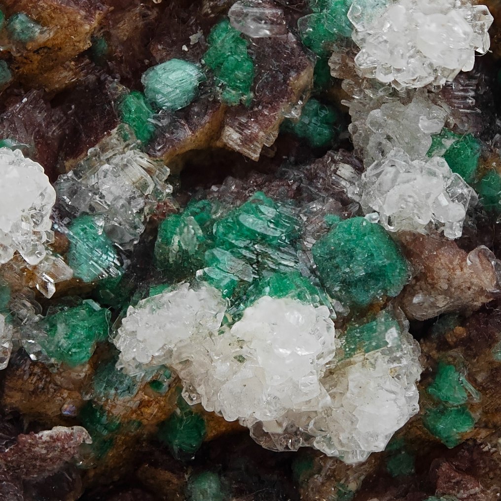 Malachite trapped in plaster and dolomite, Morocco. Crystals on matrix - Height: 90 mm - Width: 71 mm- 218 g #3.2