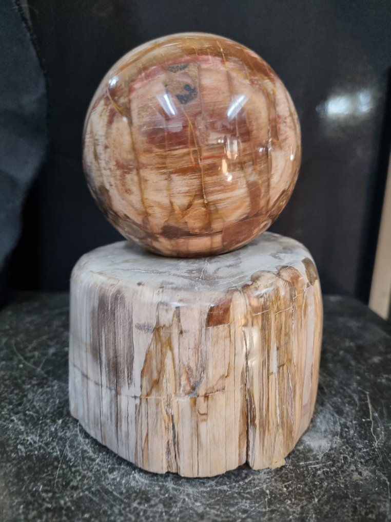 HQ - Big petrified wood sphere on stand Freeform - Height: 161 mm - Width: 115 mm- 2826 g #2.1