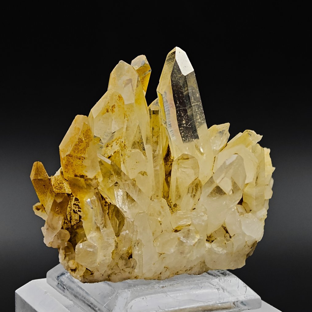 QUARZI GIALLI ALPINI! Ιταλία, Αισθητική Κρύσταλλοι στη μήτρα - Ύψος: 48 mm - Πλάτος: 40 mm- 38 g #1.0