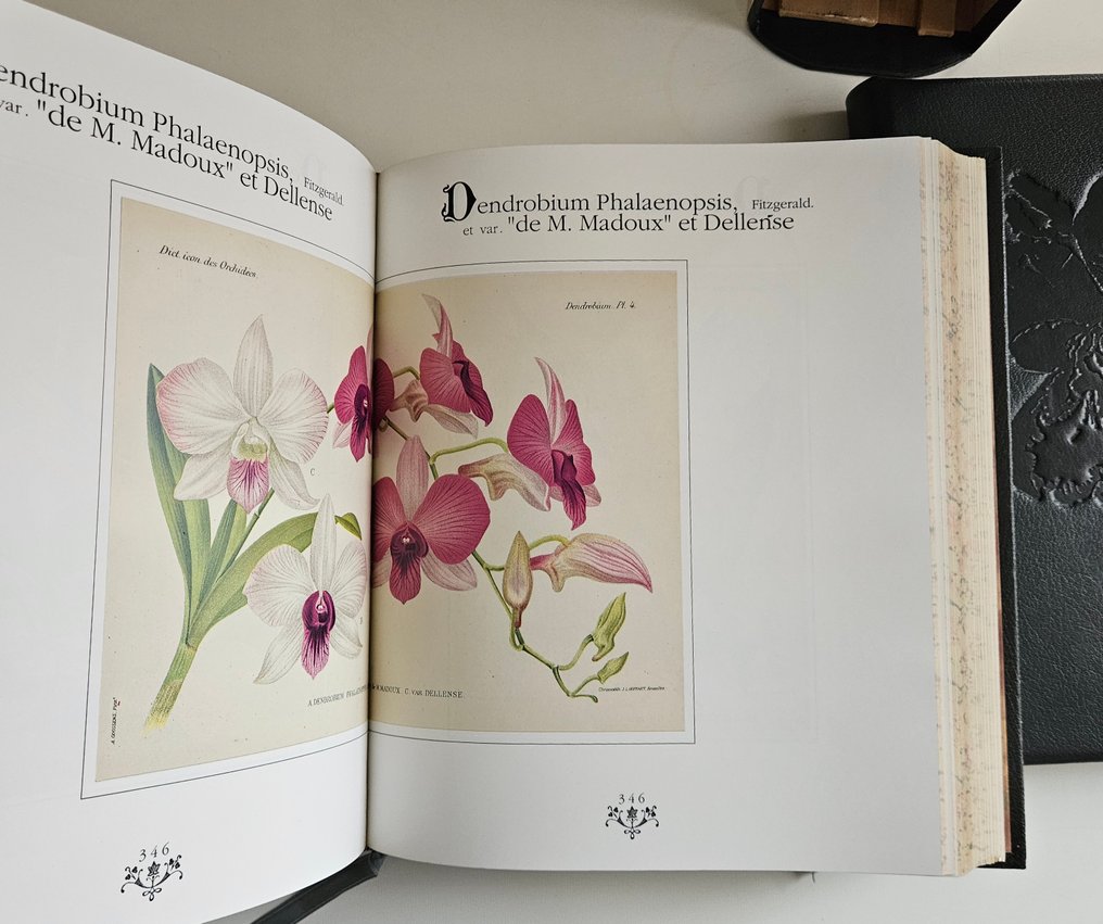 Alfred Cogniaux & Alphonse Goossens - Orchidées dictionnaire iconographique - 1990 #2.1