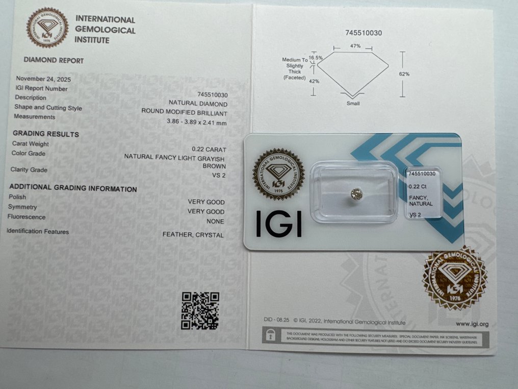χωρίς τιμή ασφαλείας - 1 pcs Διαμάντι  (Φυσικού χρώματος)  - 0.22 ct - Στρογγυλό - Fancy light Γκριζωπό, Καφέ - VS2 - International Gemological Institute (IGI) #2.1