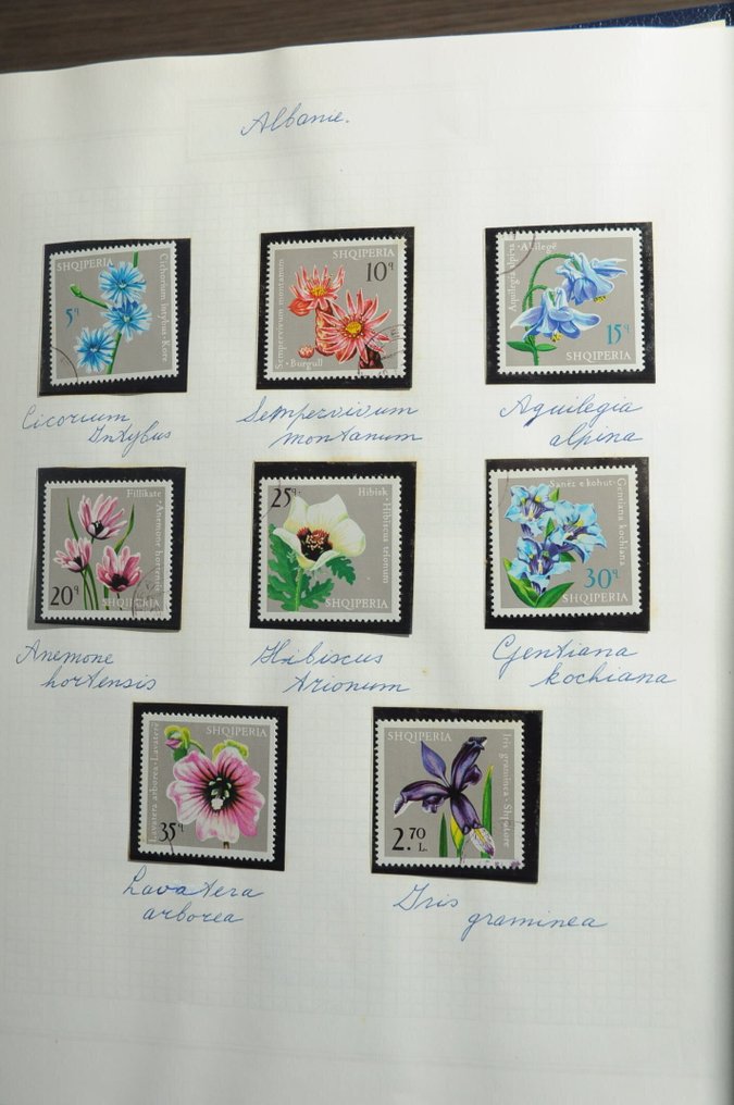 Tematic - Colecție cu, printre altele, Flora într-un album Victoria și diverse în cadrul unui album gros de #4.3