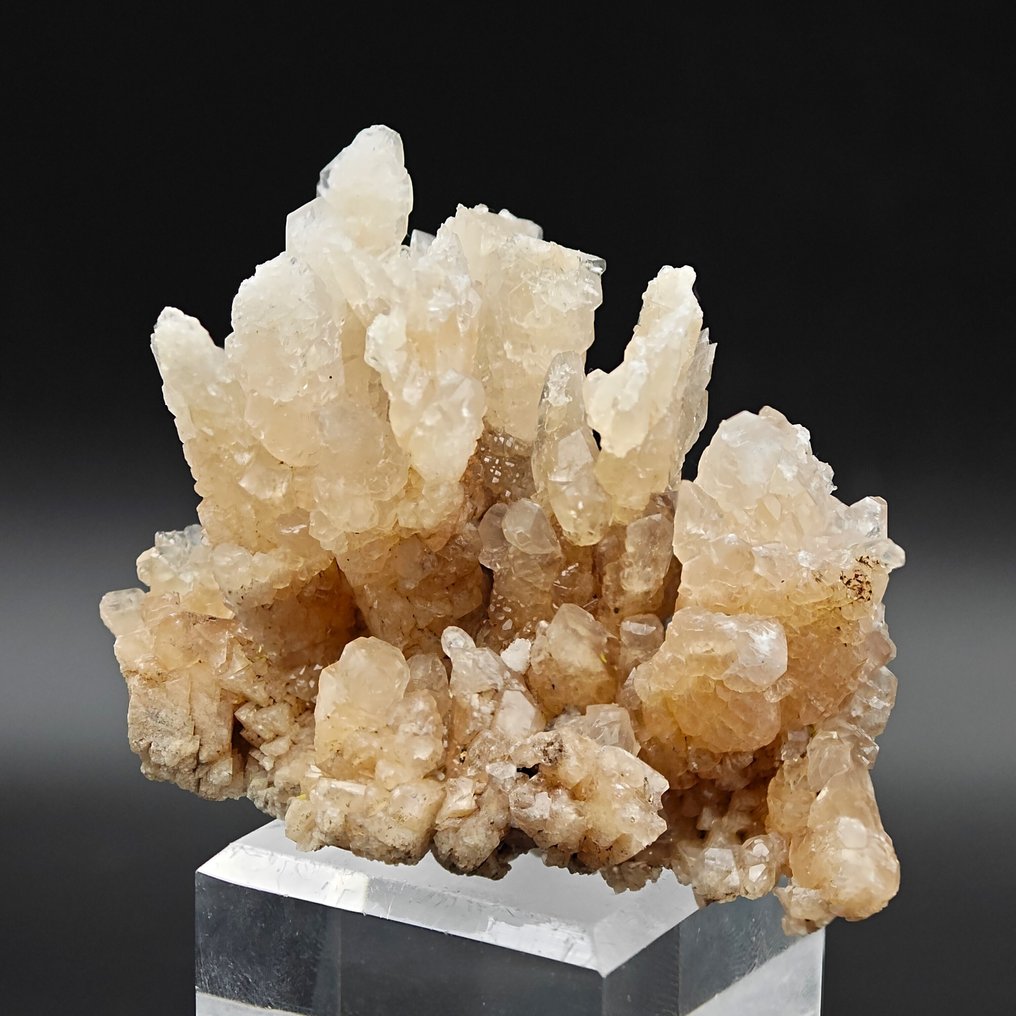 白色和橙色方解石之花，优雅，撒丁岛 水晶矩晶体 - 高度: 79 mm - 宽度: 59 mm- 88 g #3.2