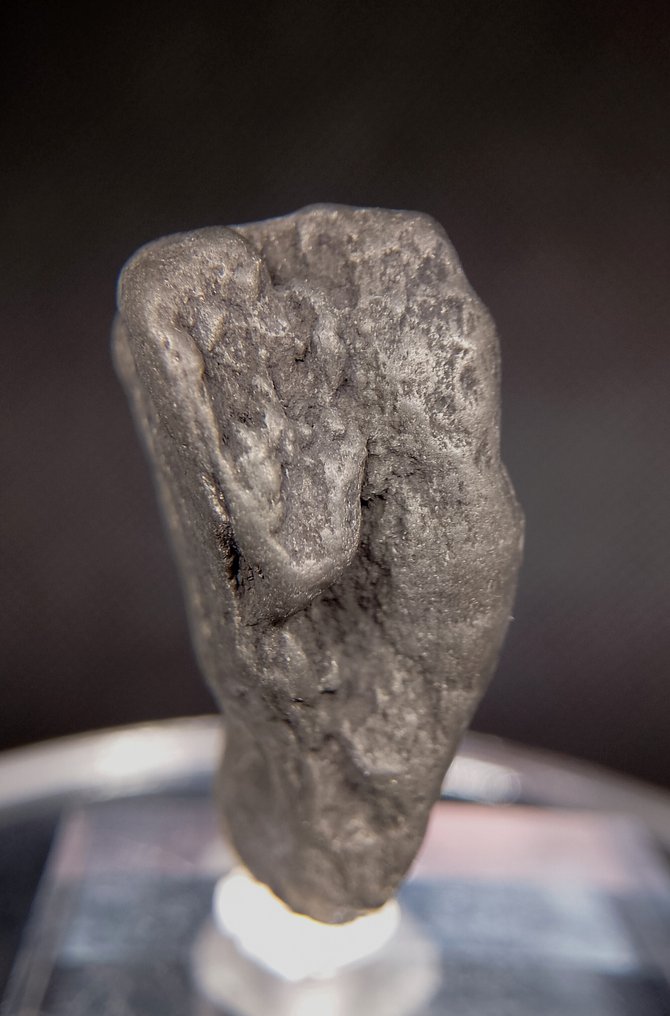 Platinum Nugget - Height: 29 mm - Width: 12 mm- 10 g #2.1