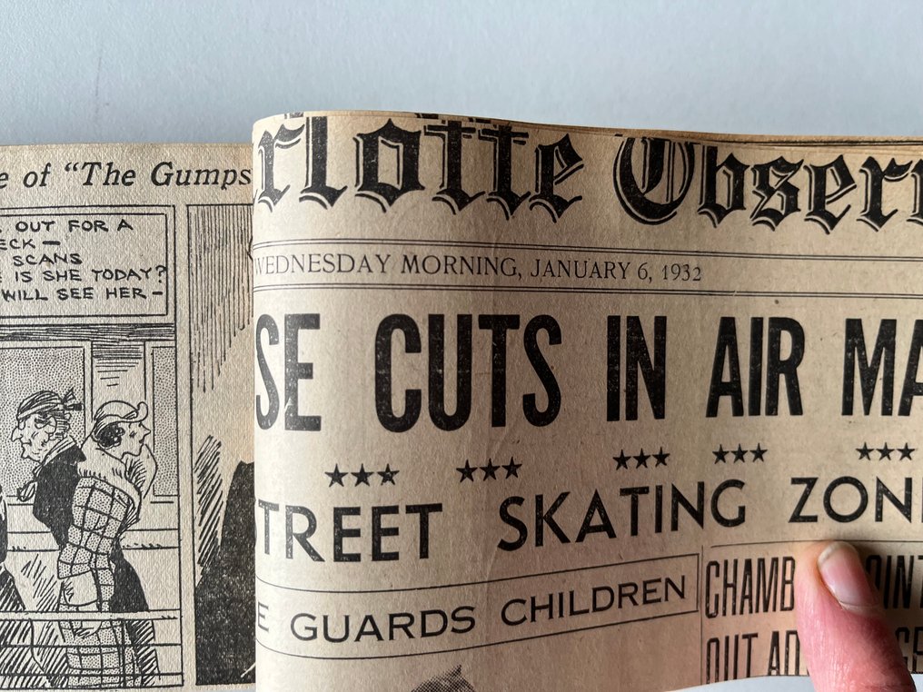 The Gumps - Full year of dailies - 294 Newspaper strips - 1932 #2.1