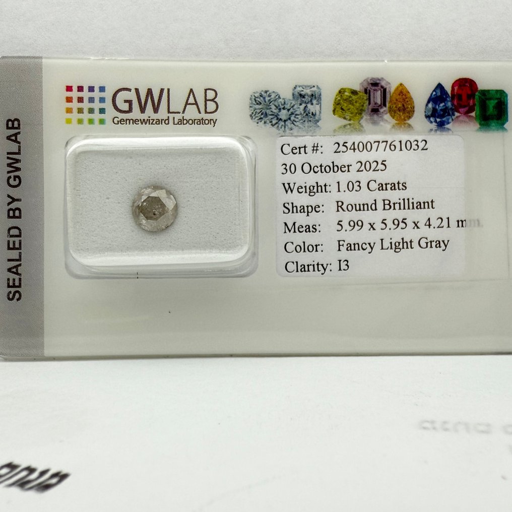 沒有保留價 - 1 pcs 鑽石  (天然彩色)  - 1.03 ct - 圓形 - Fancy light 灰色 - I3 - Gemewizard Gemological Laboratory (GWLab) #3.2