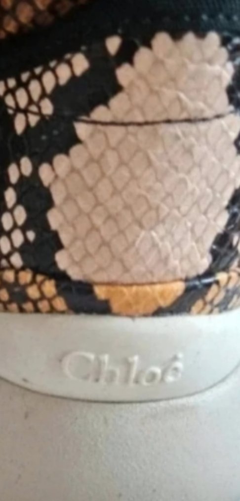 Chloé - 拖鞋 - 尺寸: EU 40 #3.2