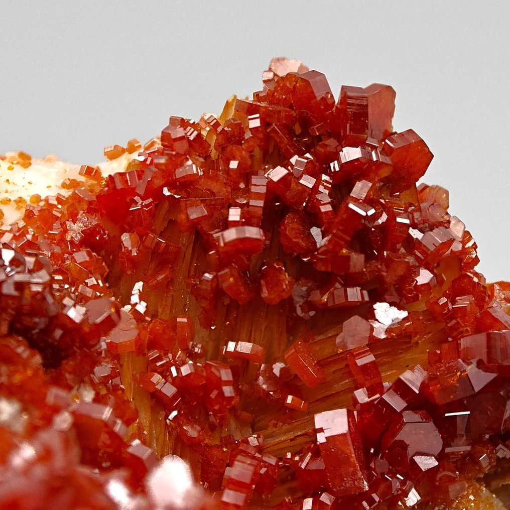 Vörös vér vanadinit vihar a sárga barit felett Kristálymátrix - Magasság: 74 mm - Szélesség: 47 mm- 87 g #2.1