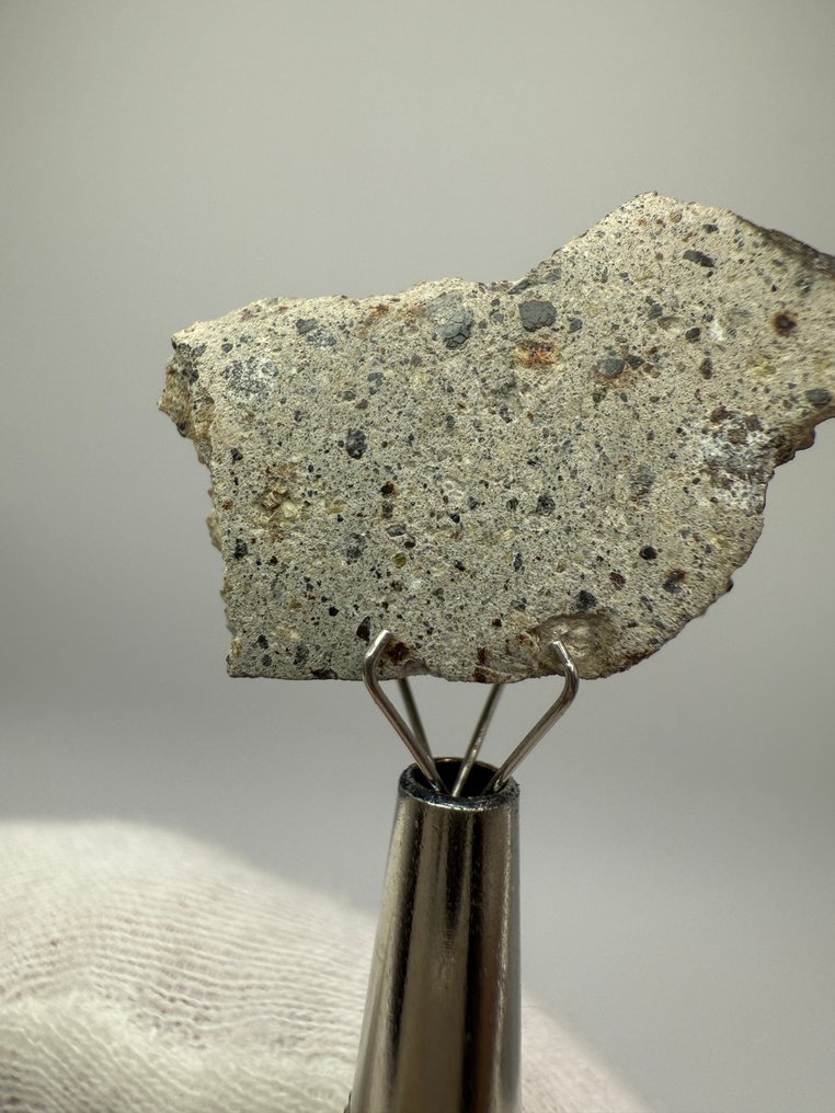 NWA 17658 Howardite NWA 17658 Howardite - 4.6 g - (1) #2.1