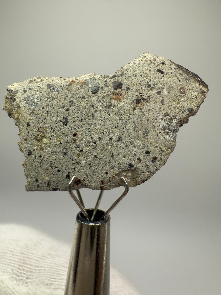 NWA 17658 Howardite NWA 17658 Howardite - 4.6 g - (1) #1.0