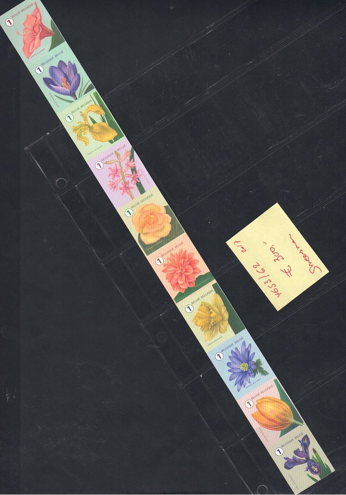 Belgio 2017 - Fiori, in una striscia di 10 non piegata e non pieghettata, pubblicazione di Marijke Meersman. - OBP 4653/4662 #1.0