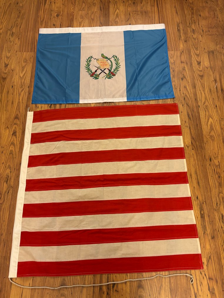 Guatemala in the US - Flag - Guatemala en US protest vlag #1.0