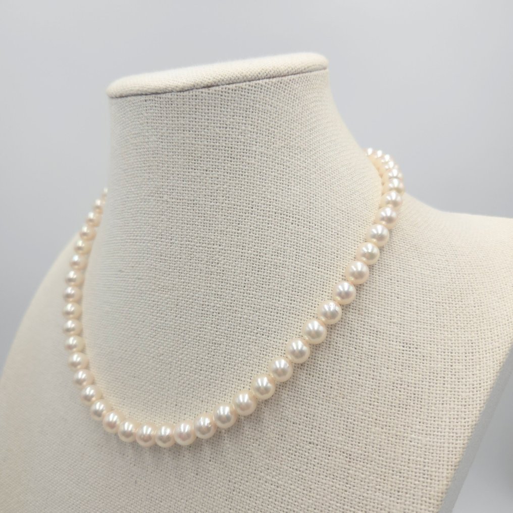 Senza Prezzo di Riserva - Collana Argento Perla - Akoya 7,5 mm 17,5 pollici PSL #2.1