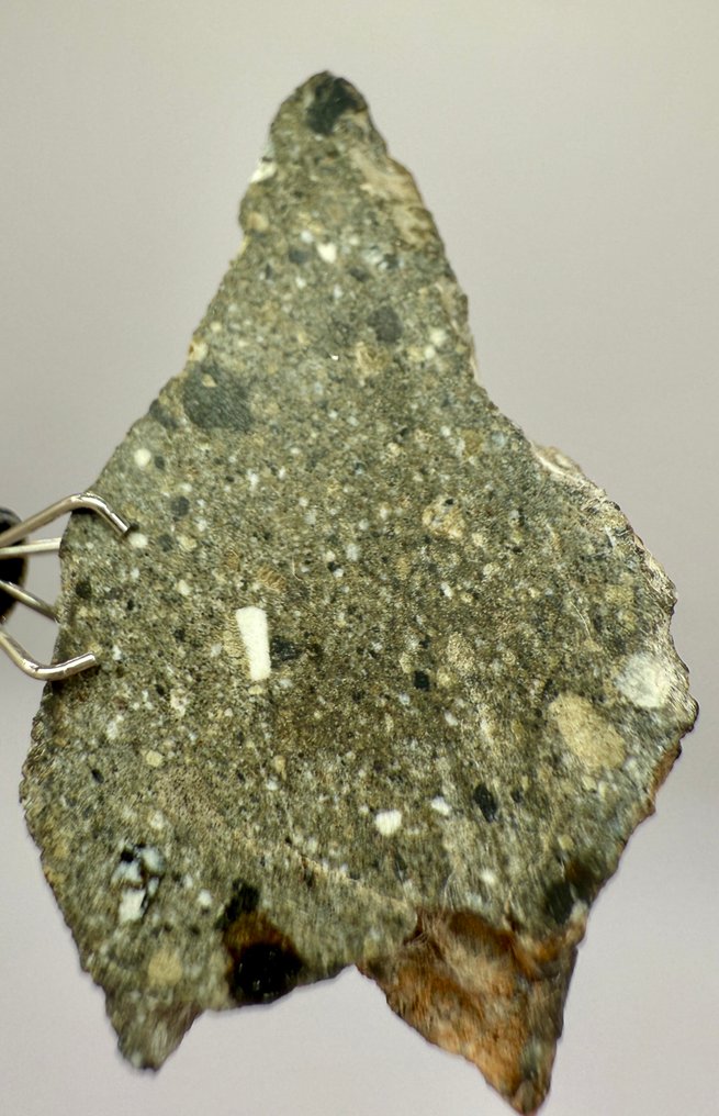 NWA 17498 Howardite NWA 17498 Howardite - 5.57 g - (1) #3.2