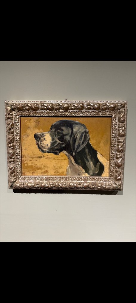 Olasz iskola (XX) - Ritratto di cane da caccia di profilo #1.0