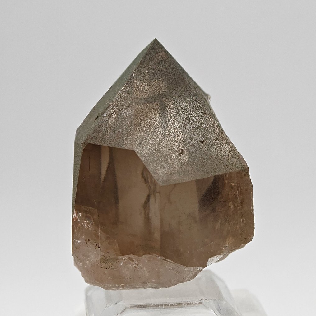 QUARZO FUMÈ con CLORITE VERDE, Svizzera Cristalli su matrice - Altezza: 54 mm - Larghezza: 38 mm- 92 g #3.2