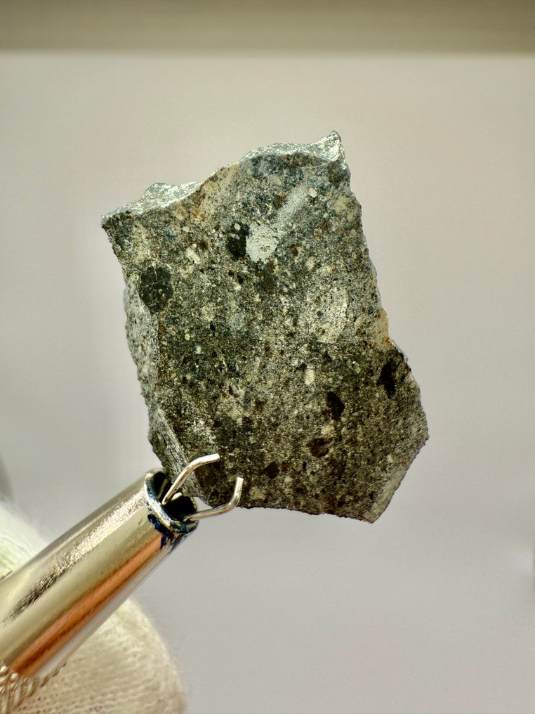 NWA 17909 Diogenite Polymict Breccia NWA 17909 Diogenite Polymict Breccia - 3.76 g - (1) #1.0