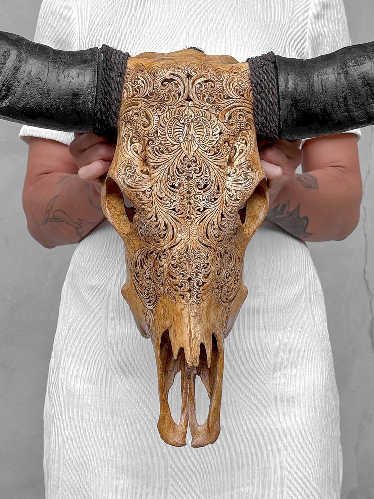 Keine Mindestreserve - Echoter, großer, brauner, geschnitzter Büffelschädel - kleines Lotus-Motiv. Geschnitzter Schädel - Bubalus Bubalis - 62 cm - 64 cm - 16 cm- Nicht-CITES-Arten - (1) #1.0