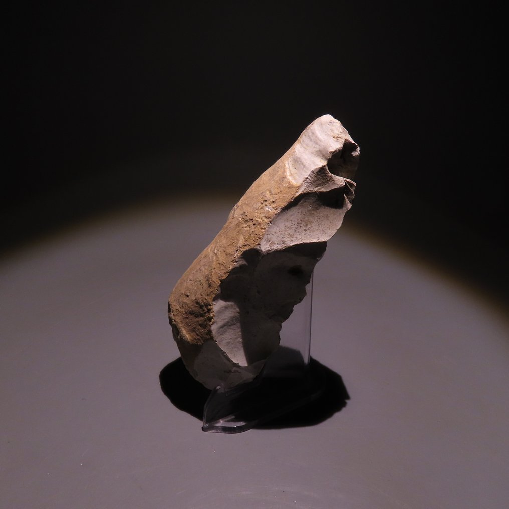 新石器时代 燧石 工具。Spiennes，公元前4500-3500年。高12.5厘米。西班牙进口许可证。  (没有保留价) #1.0