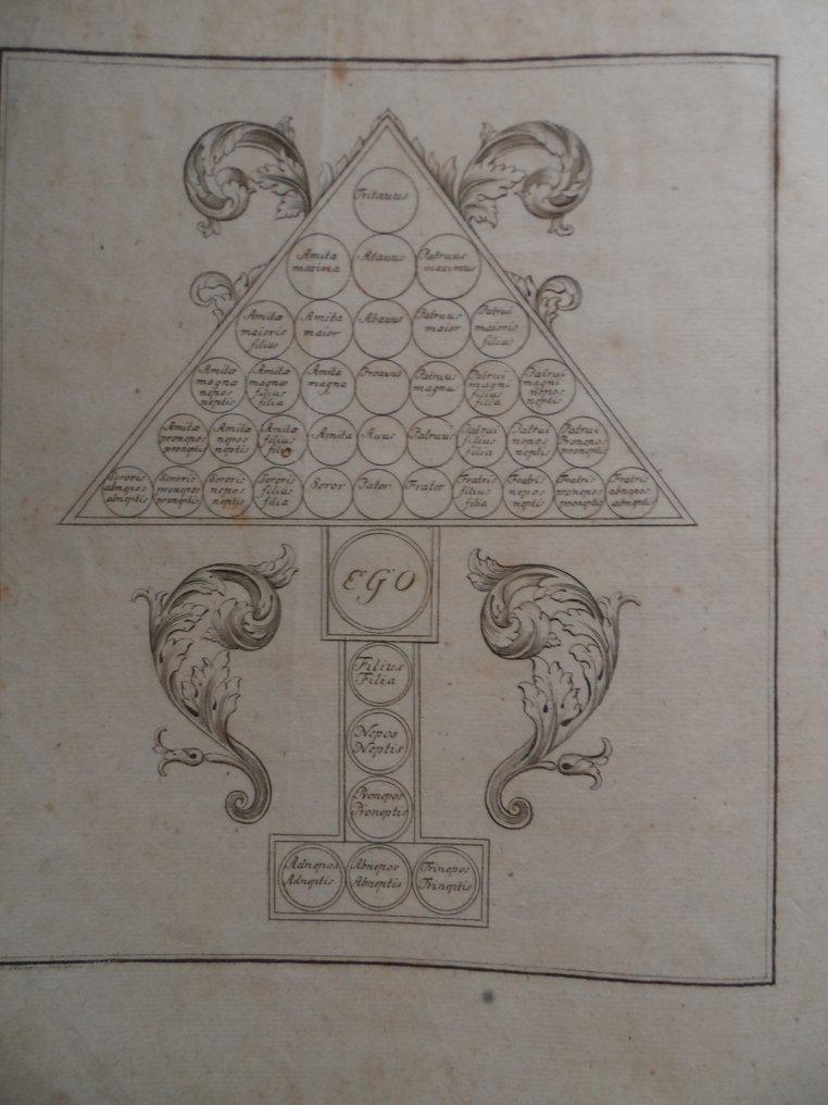 Justinianus I / Georg Christian Gebauer / Georg August Spangenberg / Jacques Cujas / Gregor - Corpvs Ivris Civilis Codicibvs Veteribvs Manvscriptis Et Optimis Qvibvsqve Editionibvs Collatis - 1776-1797 #3.2