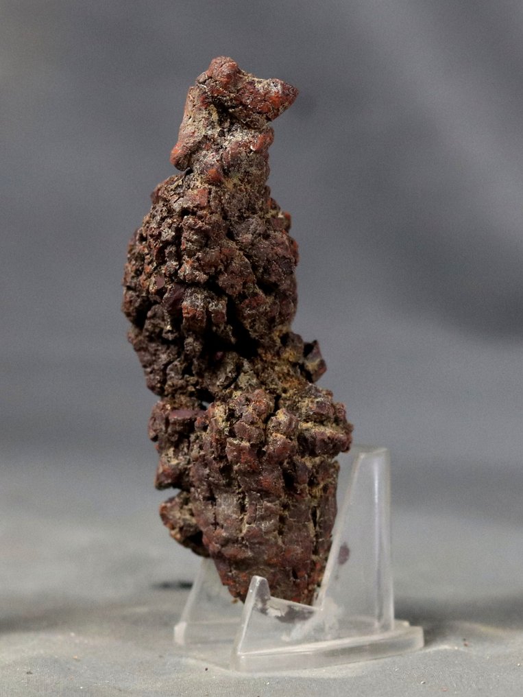 Fossilized dinosaur poop - Fossilised animal - Coprolite - 10.5 cm - 4.4 cm  (No Reserve Price) #3.2