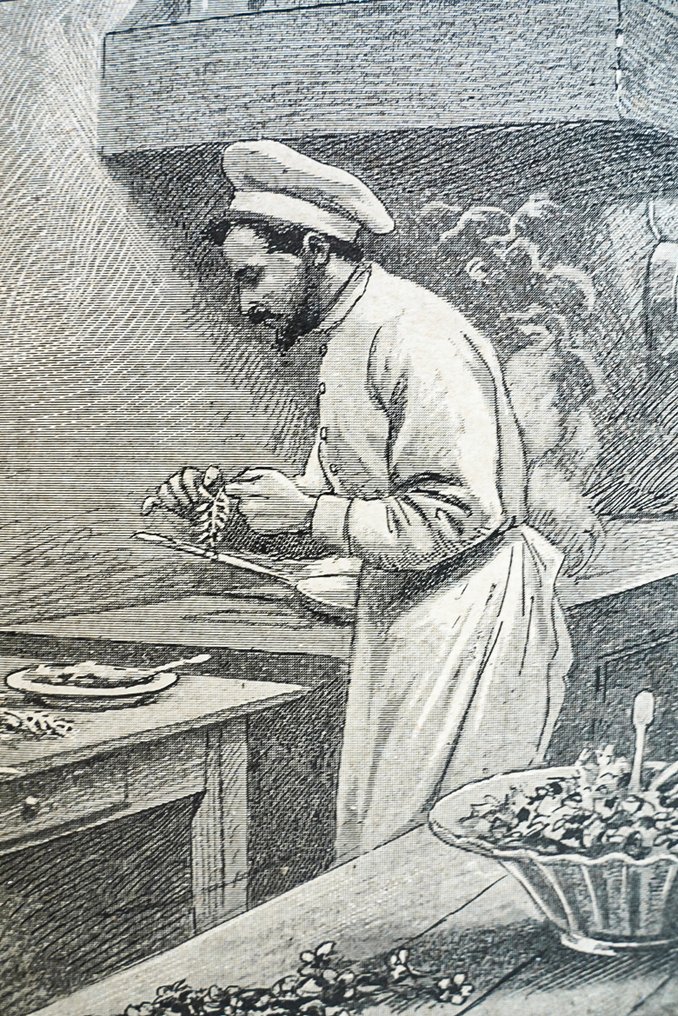 F. Faideau - La Botanique Amusante - 1897 #1.0