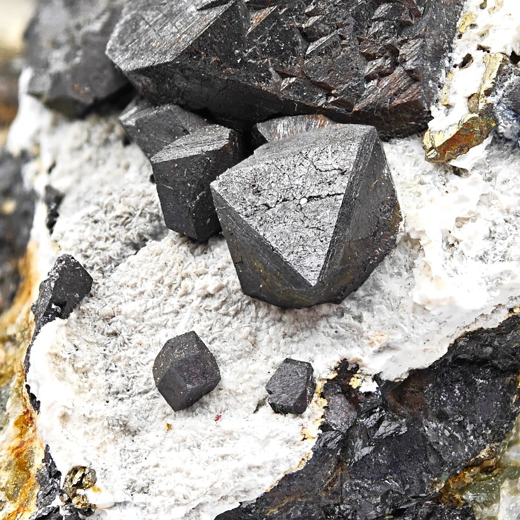 Large shiny magnetite with golden pyrite, Alpino! Crystals on matrix - Height: 141 mm - Width: 111 mm- 1.36 kg #1.0