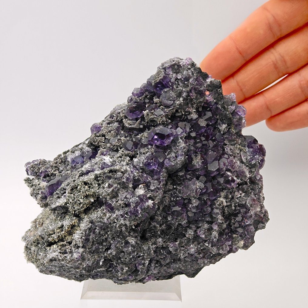 Fluorite, tanzanite, blue/violet, cuboctahedra on quartz, elegant. Crystals on matrix - Height: 104 mm - Width: 92 mm- 472 g #1.0