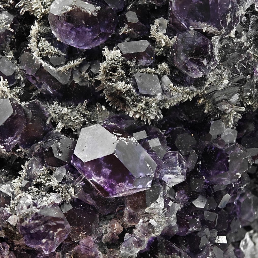 Fluorite, tanzanite, blue/violet, cuboctahedra on quartz, elegant. Crystals on matrix - Height: 104 mm - Width: 92 mm- 472 g #1.0