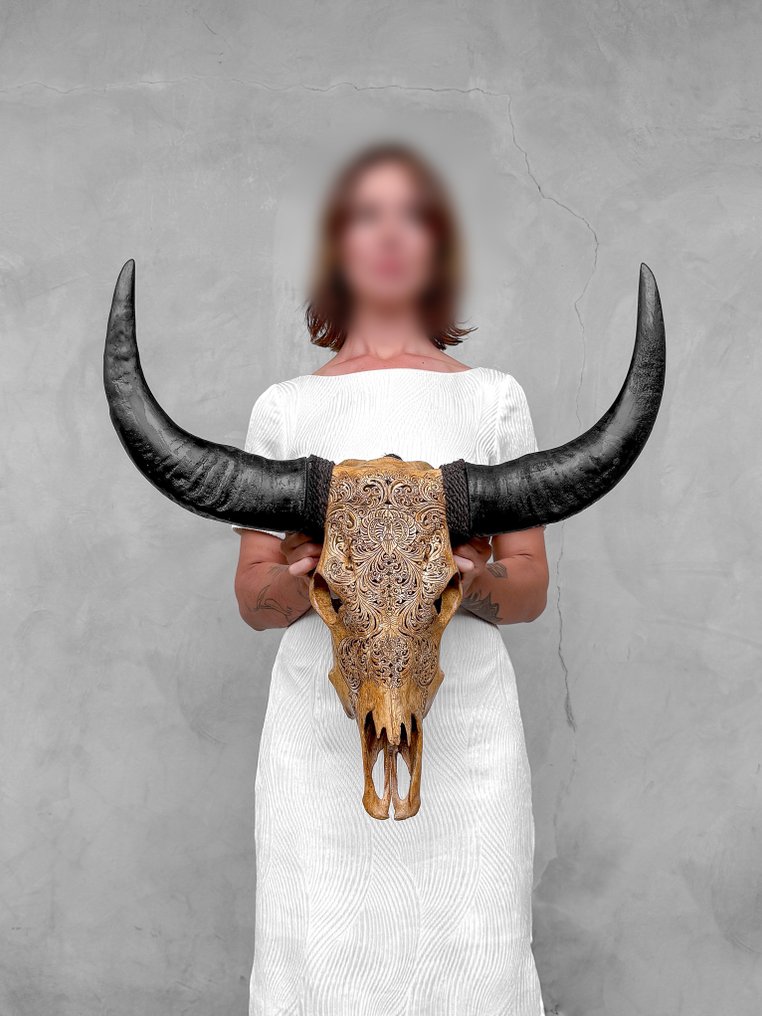 Keine Mindestreserve - Echoter, großer, brauner, geschnitzter Büffelschädel - kleines Lotus-Motiv. Geschnitzter Schädel - Bubalus Bubalis - 62 cm - 64 cm - 16 cm- Nicht-CITES-Arten - (1) #4.3