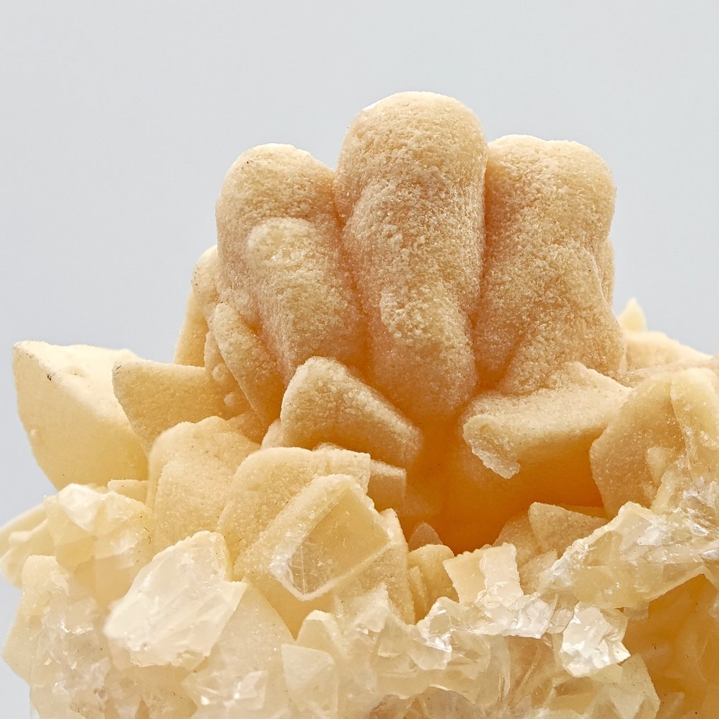 High-fluorescence and phosphorescent calcite alpina, Italy Crystals on matrix - Height: 87 mm - Width: 75 mm- 278 g #3.2