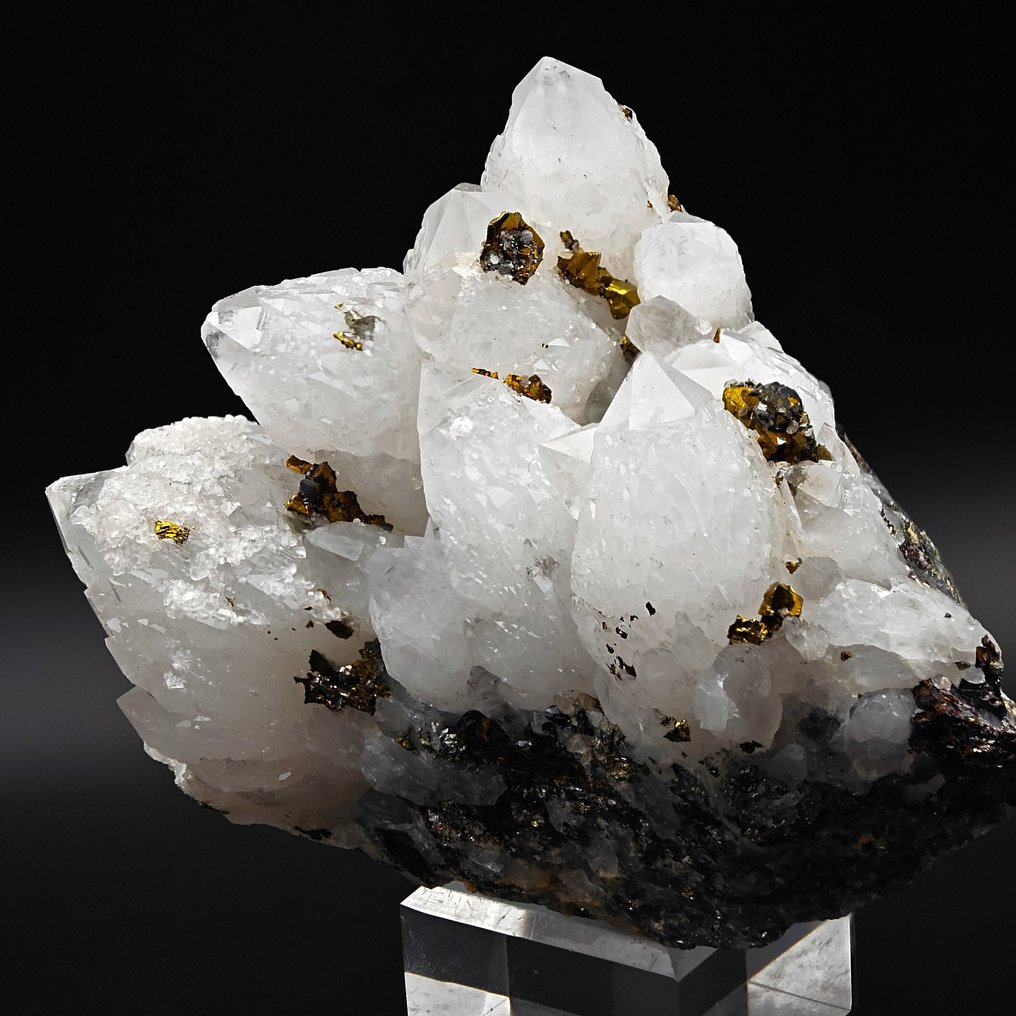 Καλλοπυρίτης δόρατα με χαλαζία γάλακτος, Ρουμανία Κρύσταλλοι στη μήτρα - Ύψος: 121 mm - Πλάτος: 88 mm- 811 g #4.3