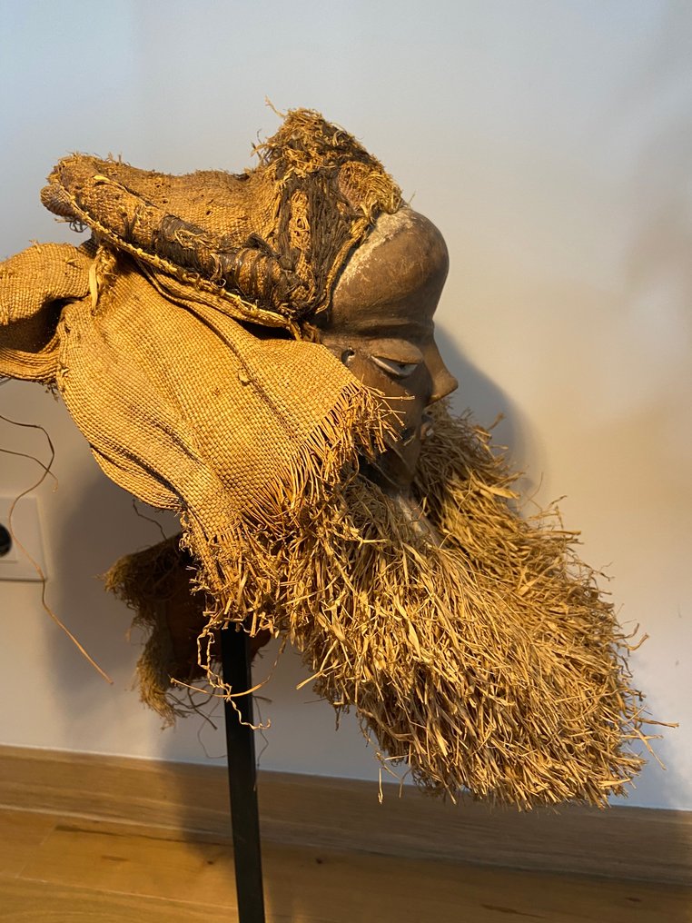 Pende面具 - Pende - 剛果民主共和國 #2.1