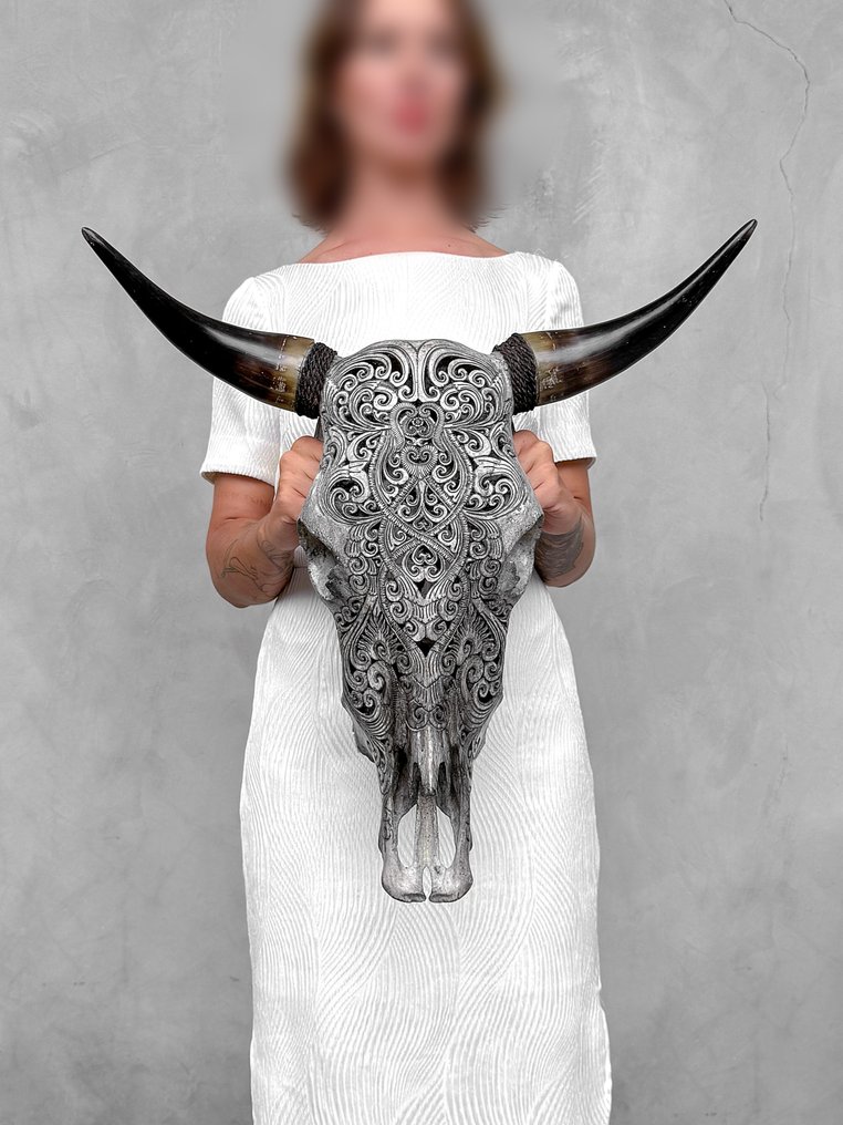 PAS DE PRIX MINIMUM - Vrai Grand Crâne de Taureau en Gris, Sculpté à la Main - Motif Traditionnel Crâne sculpté - Bos Taurus - 56 cm - 55 cm - 17 cm- Espèces non-CITES - (1) #2.1