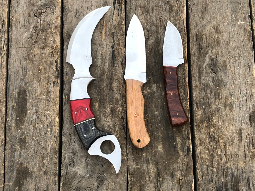 廚刀 - 声望卓著的手工剥皮刀，锻钢，木材及稀有手柄 - 北美 - 皮套 TD18 #2.1