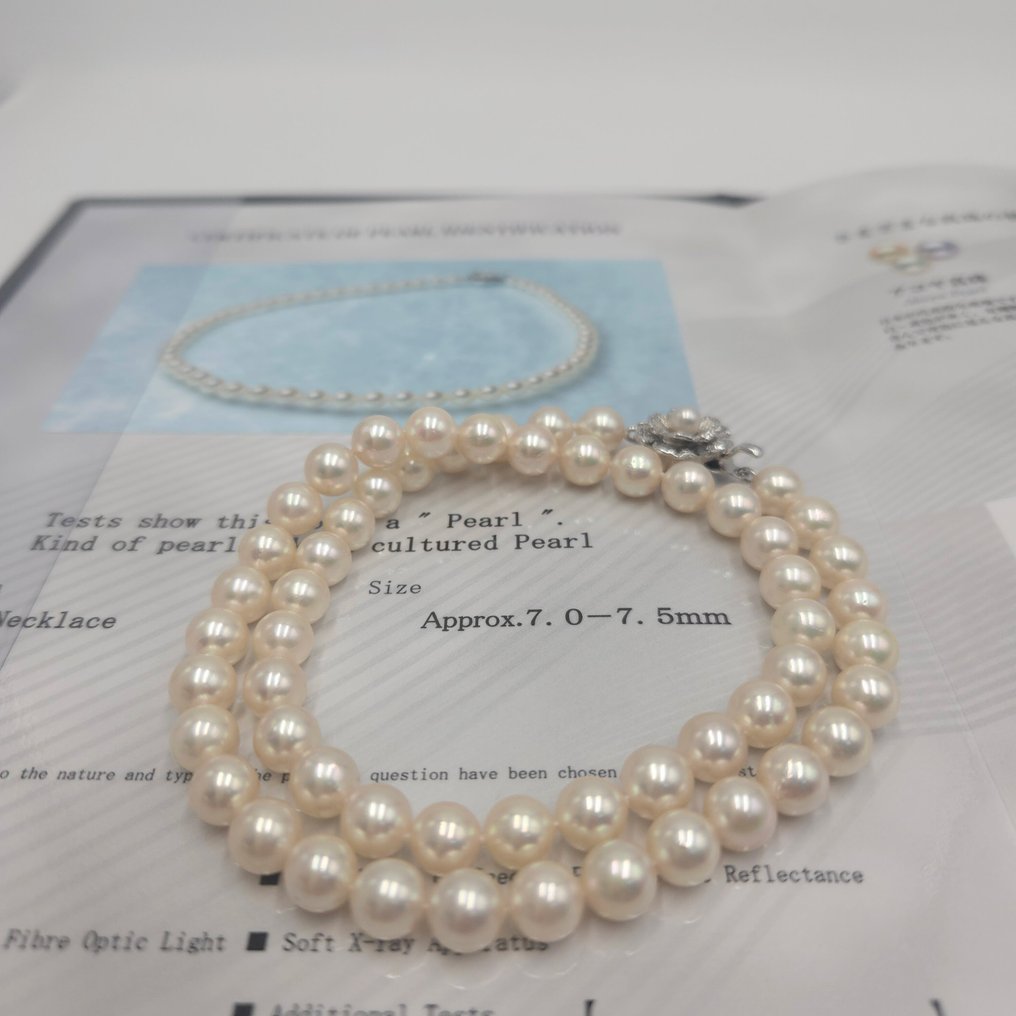 Senza Prezzo di Riserva - Collana Argento Perla - Akoya 7,5 mm 17,5 pollici PSL #1.0