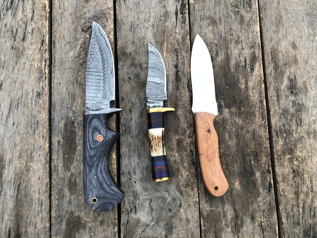 廚刀 - 声望手工剥皮刀，多层锻造钢，鹿角、木材及稀有手柄 - 北美 - 皮套 TD25 #1.0