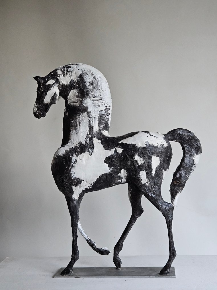 Raghad - L'Équilibre du Contraste #1.0