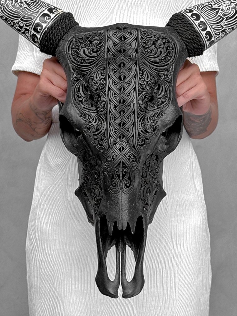 Sem preço de reserva - Caveira de vaca negra esculpida impressionante com chifres esculpidos boêmios Crânio esculpido - Bos Taurus - 61 cm - 60 cm - 17 cm- Espéciesnão-CITES -  (1) #1.0