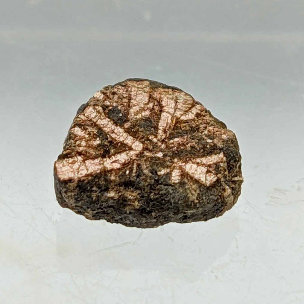 稀有的 CERASITE RAGGIATA 来自日本 水晶 - 高度: 8 mm - 闊度: 6 mm- 1 g #1.0