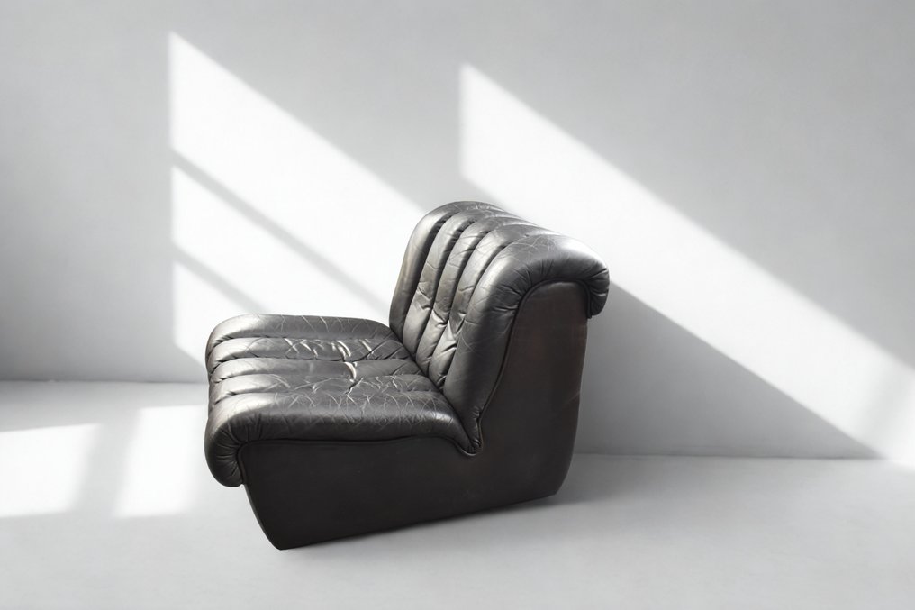 de Sede - Ueli Berger - Πολυθρόνα - DS 85 - Δέρμα #2.1