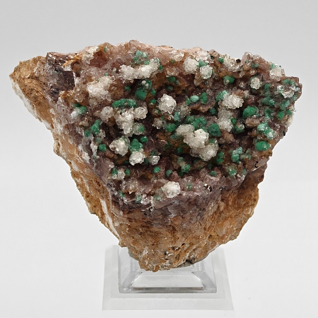 Malachite trapped in plaster and dolomite, Morocco. Crystals on matrix - Height: 90 mm - Width: 71 mm- 218 g #1.0