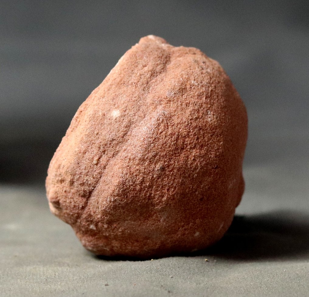 Decorative fossilized stromatolite - Fossilised plant - 6.4 cm  (No Reserve Price) #3.2