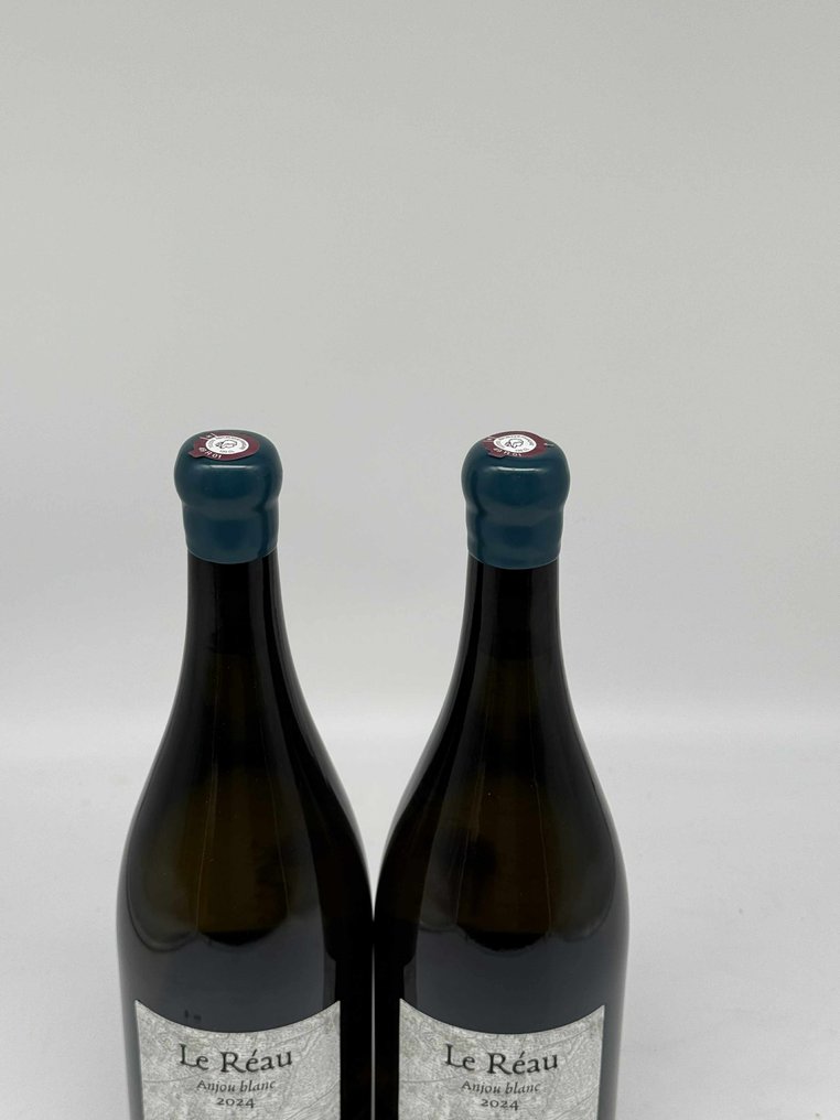 2024 Terra Vita Vinum Le Réau - Anjou - 2 Magnums (1.5L) #3.2