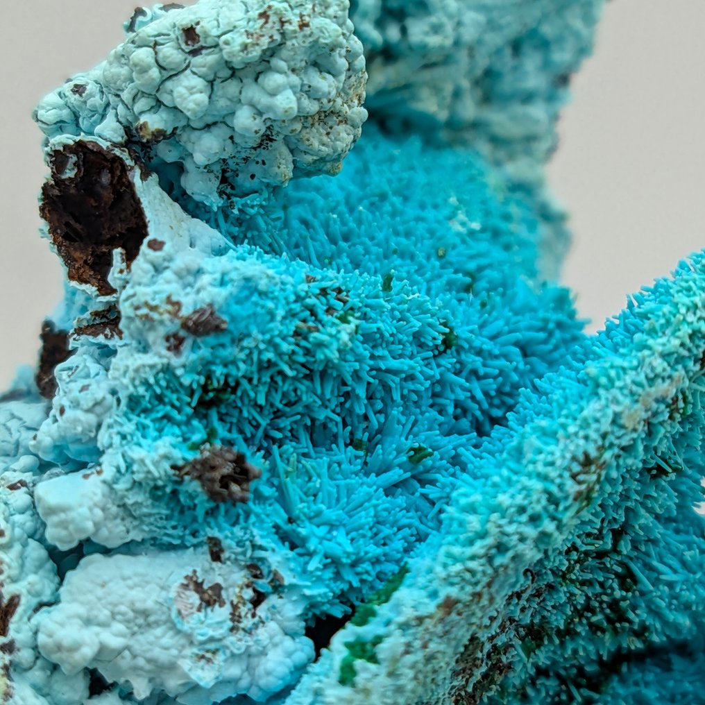 CRISOCOLOLLA Pseudomorph of AZURITE and MALACHITE, ELEGANT Crystals on matrix - Height: 45 mm - Width: 33 mm- 16 g #4.3